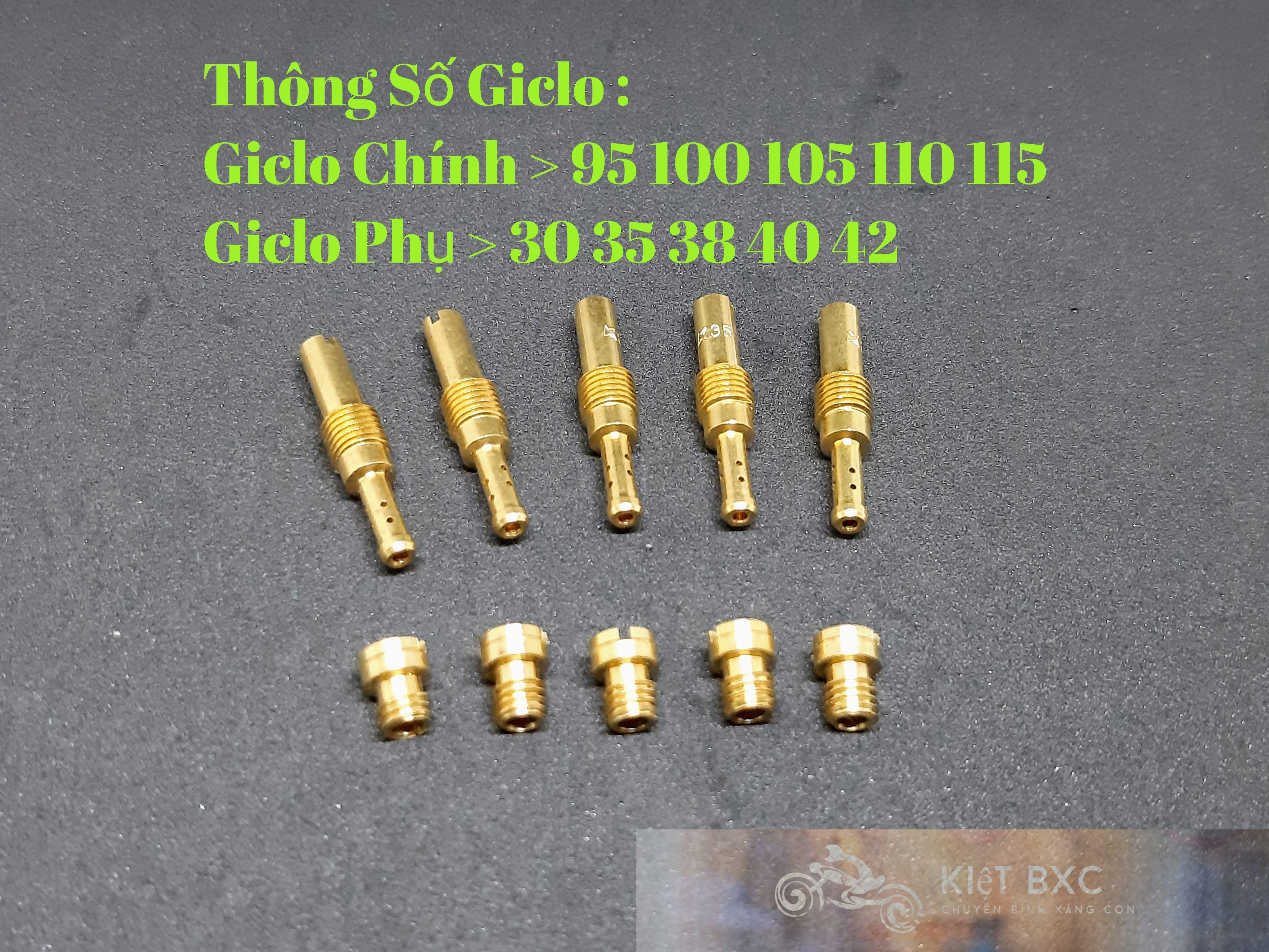 10 Giclo chính phụ Bông Mai/Ls/Nova