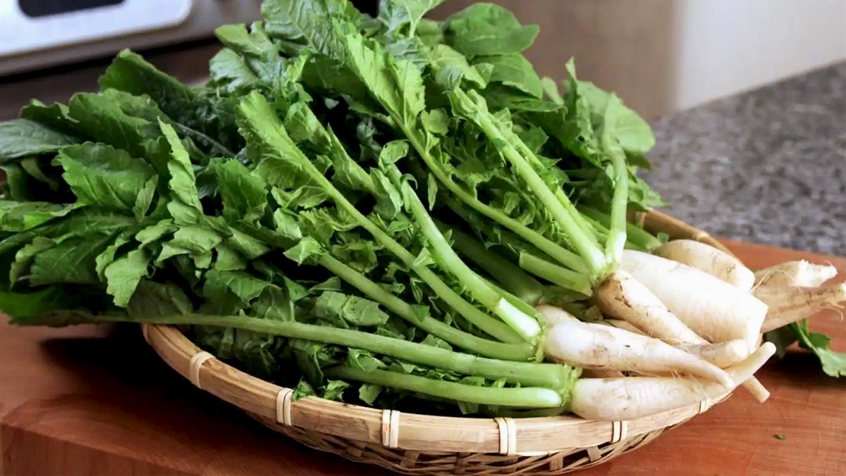 Hạt giống củ cải ăn lá 20g