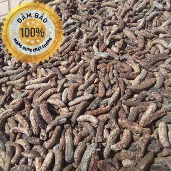 [SỐC] Chuối hột rừng LOẠI 1