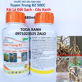 THUỐC TRỪ TUYẾN TRÙNG HẠI RỄ CÂY TRỒNG. THUỐC TRỪ SÂU SINH HỌC TUYEN TRUNG B2 50EC CHAI 480ML
