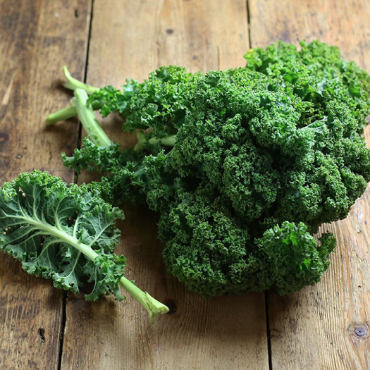 Cải Kale (Cải Xoăn) Đà Lạt - Túi 500g - Đặc Sản Ngon Lành