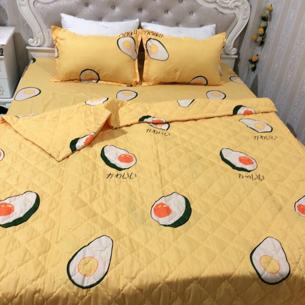 Chăn mùa hè,chăn hè trần bông cotton poly 3 lớp,chăn mỏng mùa hè nhiều mẫu