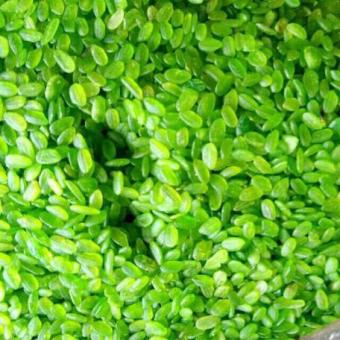 1KG CỐM XANH KHÔ ĐẶC SẢN LÀNG VÒNG HÀ NỘI NẤU CHÈ THƠM NGON