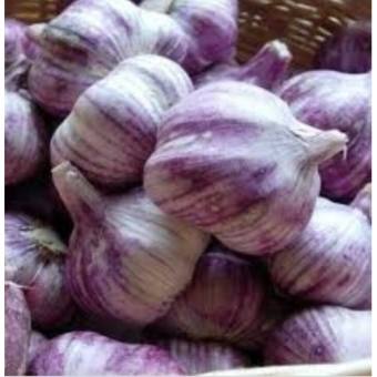 Hành tỏi -Tỏi khô - Loại tỏi nhiều tép (Túi lưới 0.5 - 1 kg) - Trồng tại đảo Lý Sơn 2023