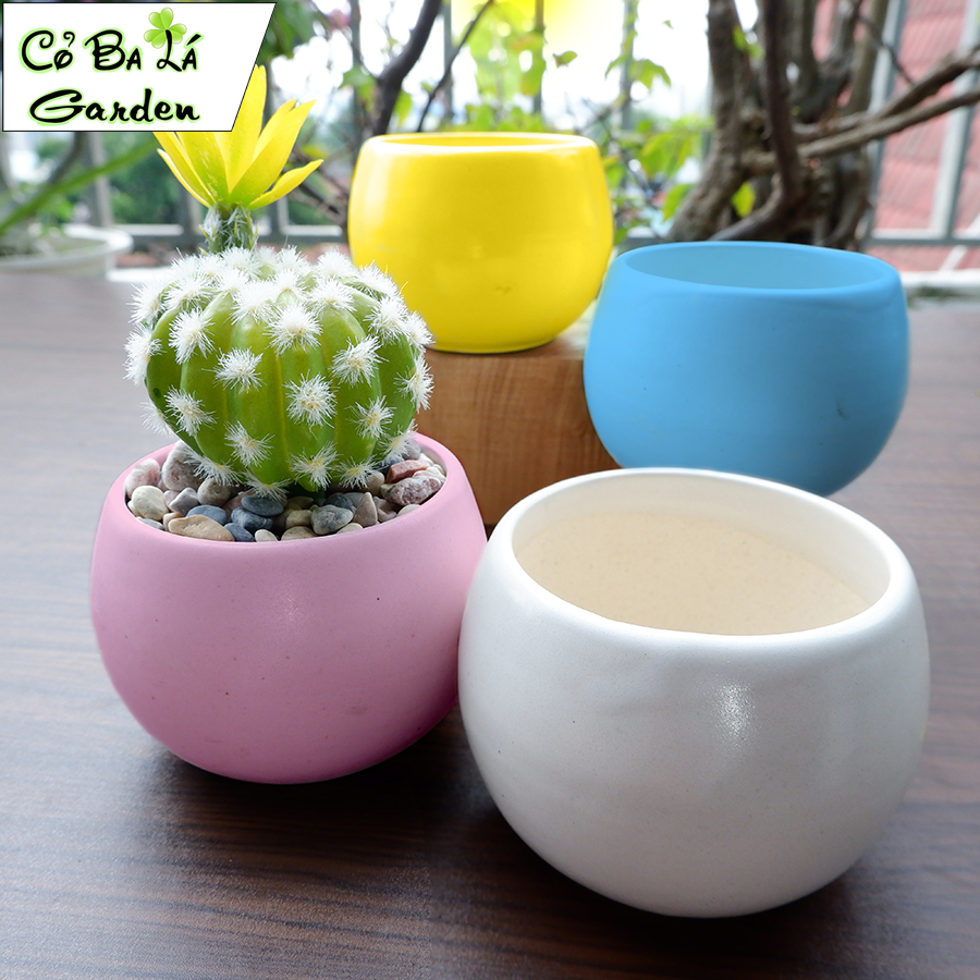 Chậu sứ mini hình hạt dẻ