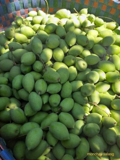 Cà na đập dập lắc muối ớt