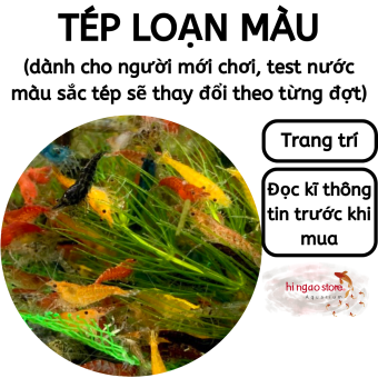 Tép thủy sinh - Tép loạn màu - Tép test nước - Trang trí hồ tép mô hình | Hingaostore.