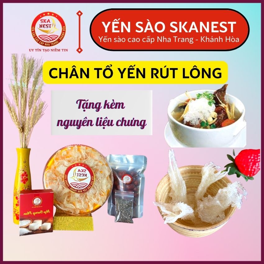 Chân yến rút lông Khánh Hòa - Chân yến sào rút lông bao ngon tặng kèm táo đỏ, đường, hạt chia