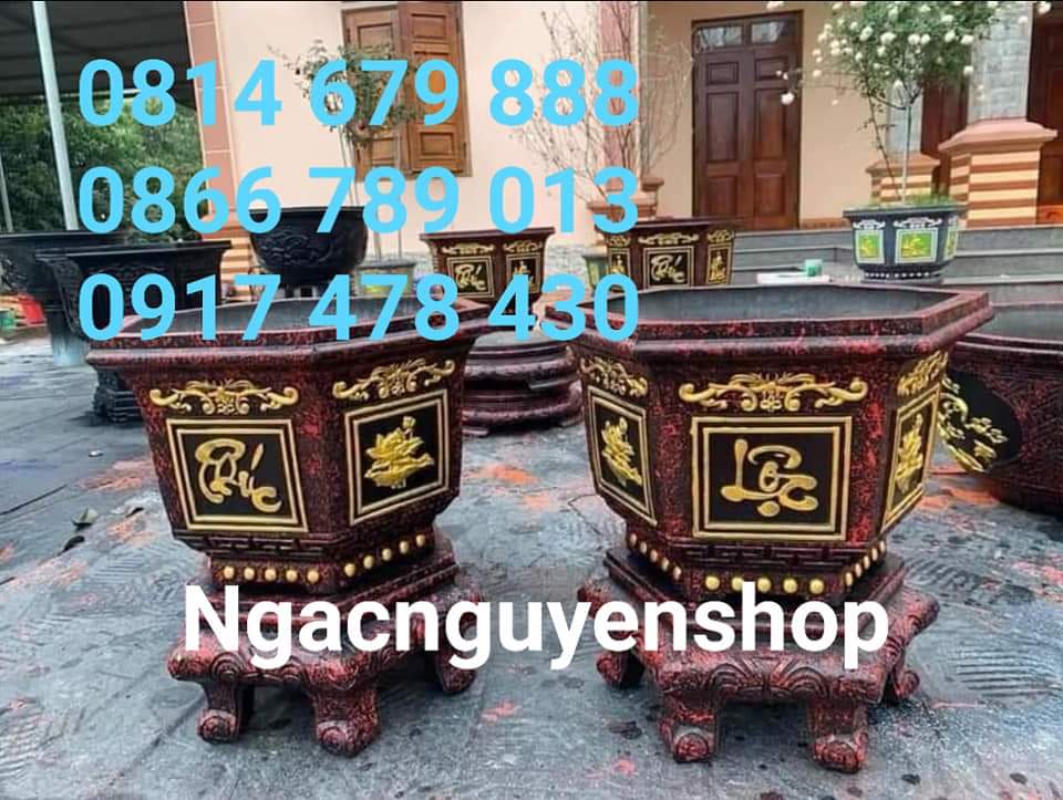 Khuôn Chậu lục giác 45 mẫu sen trúc hoặc phúc lộc thọ trộn sen trúc chim