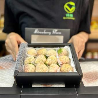 VG FARM Dâu Tây Bạch Tuyết Đà Lạt Size 24 (200G/500G/1KG)