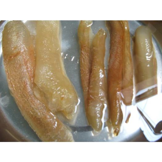 Hải Sâm Biển Trắng Chất Luợng Cao Cấp, Có Bảo Hành ( Gói 0.5 Kg)