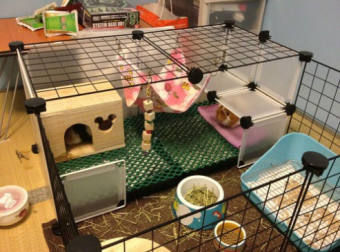 CHUỒNG CHÓ MÈO LẮP GHÉP ĐA NĂNG 10 MIẾNG - Lưới vuông 35*35cm - CQ10