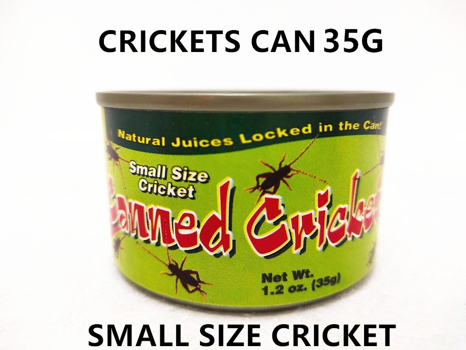 FISHFULL Canned Cricket Small 35g / Large 50g Farm Raised for Aquarium Fish Lizard Snake Bird Frog Turtle