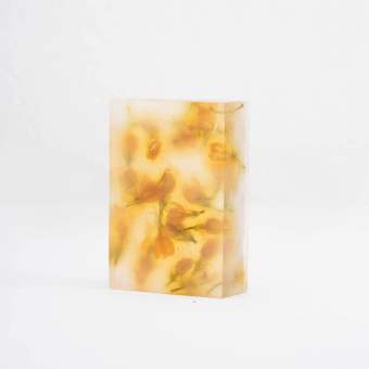Soap mỹ nhân Skinlosophy 75g