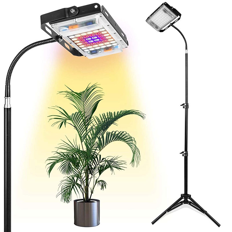 standing plant light