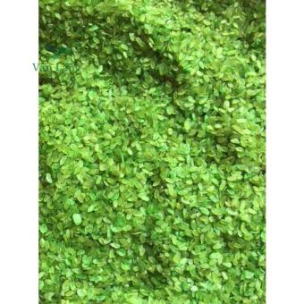 1 kg cốm xanh khô Tây Bắc thơm dẻo