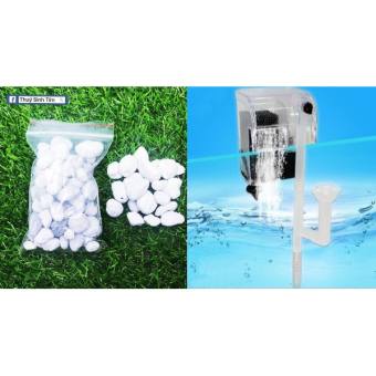 Combo Lọc Zy003 + Matrix 100ml