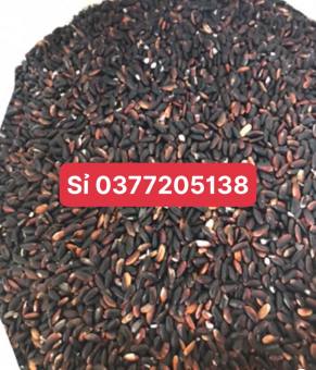 Gạo cẩm nếp nương điện biên 1kg