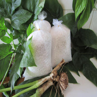 Bột nưa nguyên chất [combo 3kg]