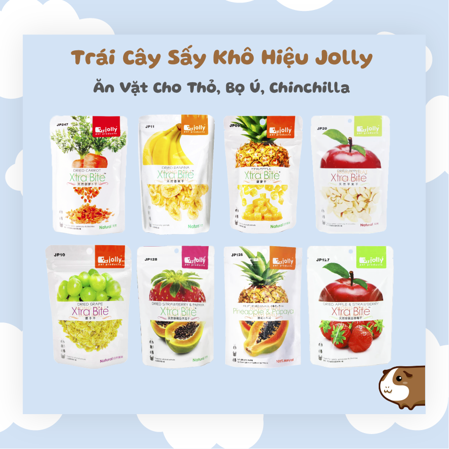 Trái cây sấy khô thức ăn cho thỏ bọ ú chinchilla hamster hiệu jolly