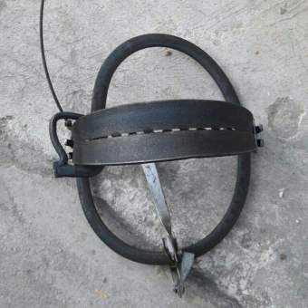 Bẫy chuột siêu dính không cần mồi nhữ hiệu quả