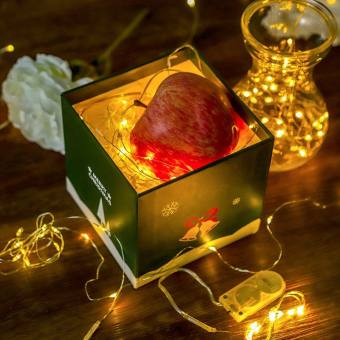 Dây đèn Led dùng pin ,dây đèn đom đóm - Loại Vuông 3M PIN