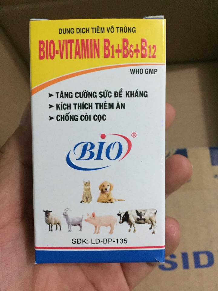 [DT ](Tặng kèm ống tiêm) Bio Vitamin B1+B6+B12 Tăng Sức Đề Kháng Chó Mèo (50ml)