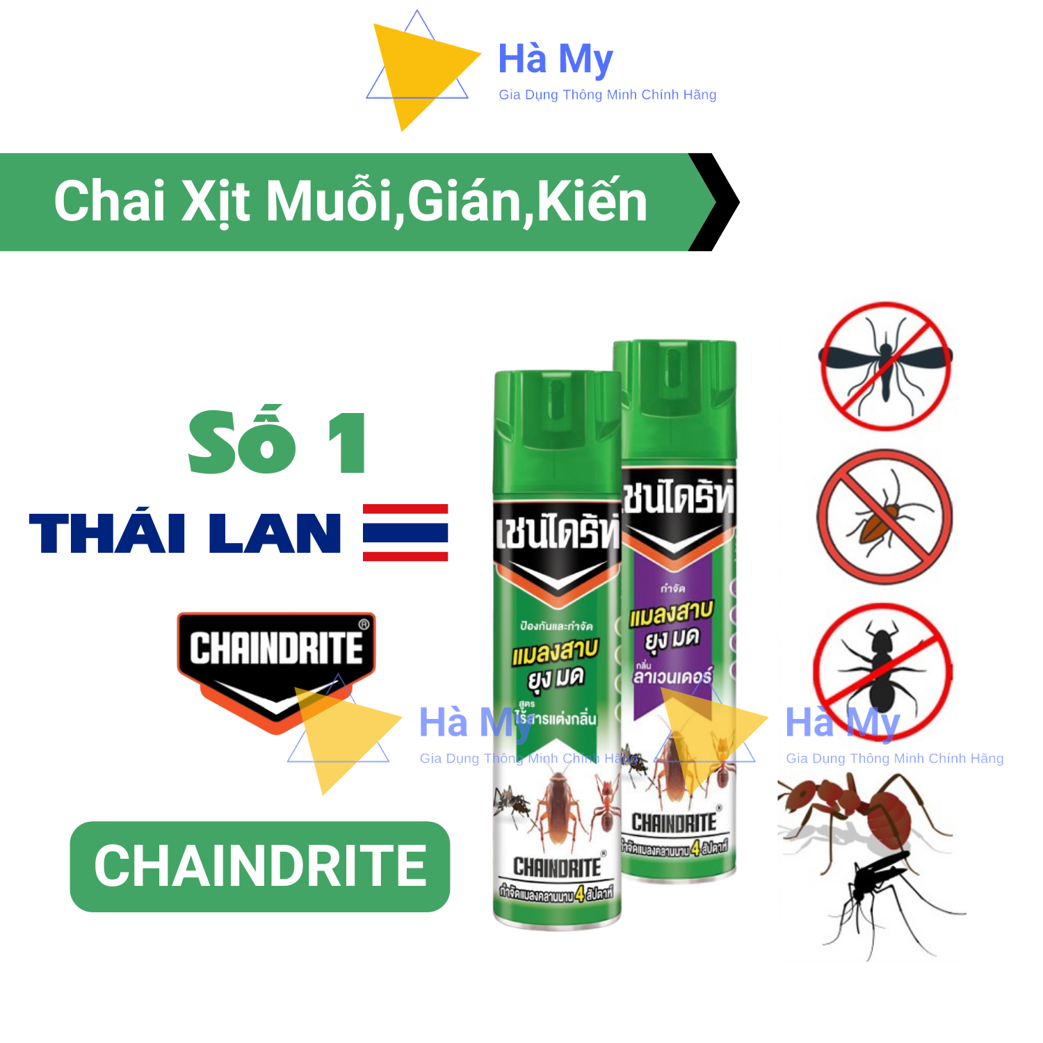 Bình Xịt Muỗi,Gián Và Các Loại Côn Trùng ChainDrite Thái Lan 600ml