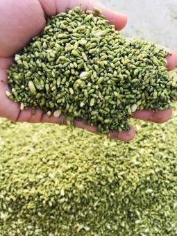 NỤ HOA HÒE SAO VÀNG và những công dụng tuyệt vời (500gr)