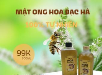 MẬT ONG HOA BẠC HÀ NGUYÊN CHẤT