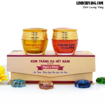 BỘ ĐÔI TRỊ NÁM NGÀY VÀ ĐÊM LINH CHI VÀNG
