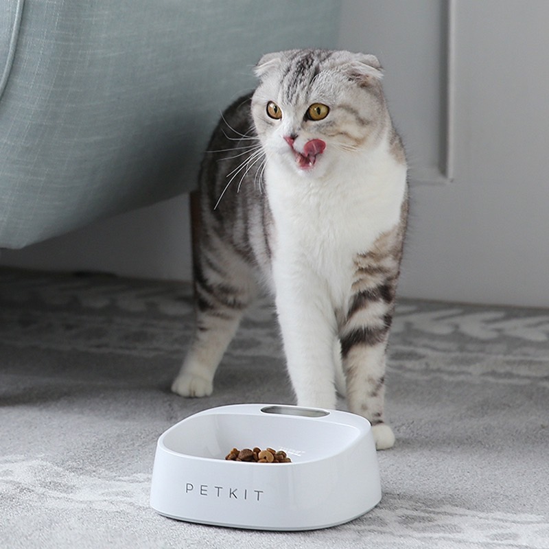 Cat Station ชามอาหารพร้อมระบบชั่งน้ำหนักแบบดิจิตอล เทคโนโลยีพิเศษป้องกันแบคทีเรีย ของแท้ ช่วยควบคุมปริมาณอาหาร ราคา 585 บาท*ส่งฟรี