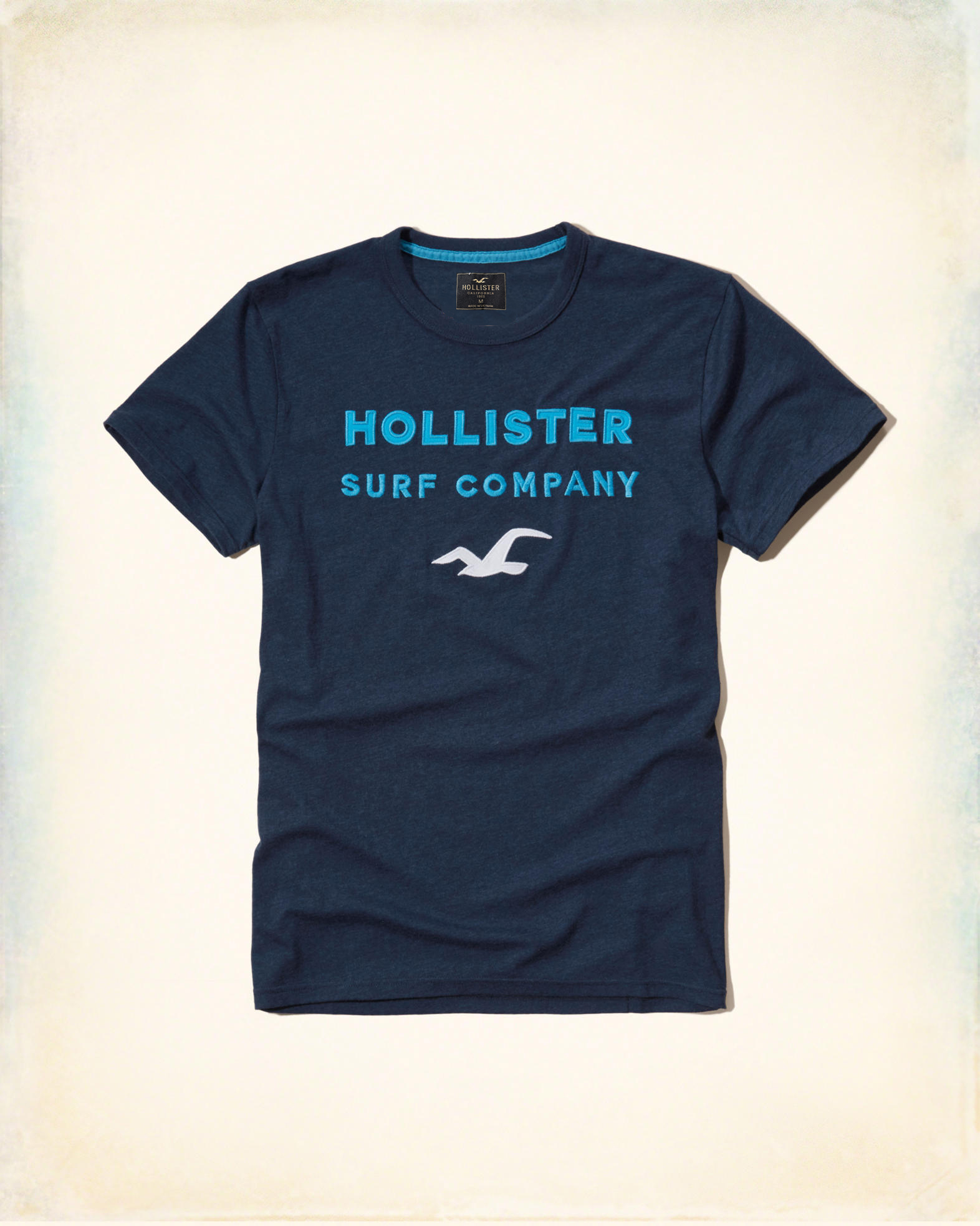 Áo thun Hollister Navy Company