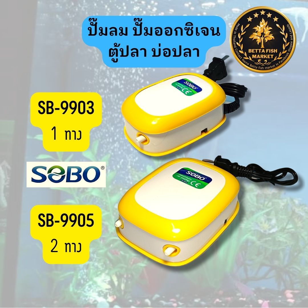 ปั๊มลมตู้ปลา ปั๊มออกซิเจน 1ทาง และ 2ทาง และมีแบบชุดพร้อมสายและหัวทราย ราคา 120 บาท*ส่งฟรี