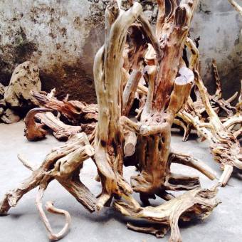 Gốc lũa linh sam setup hồ cá thuỷ sinh 500g