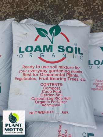 Organic Loam Soil - Perfect for All Plants