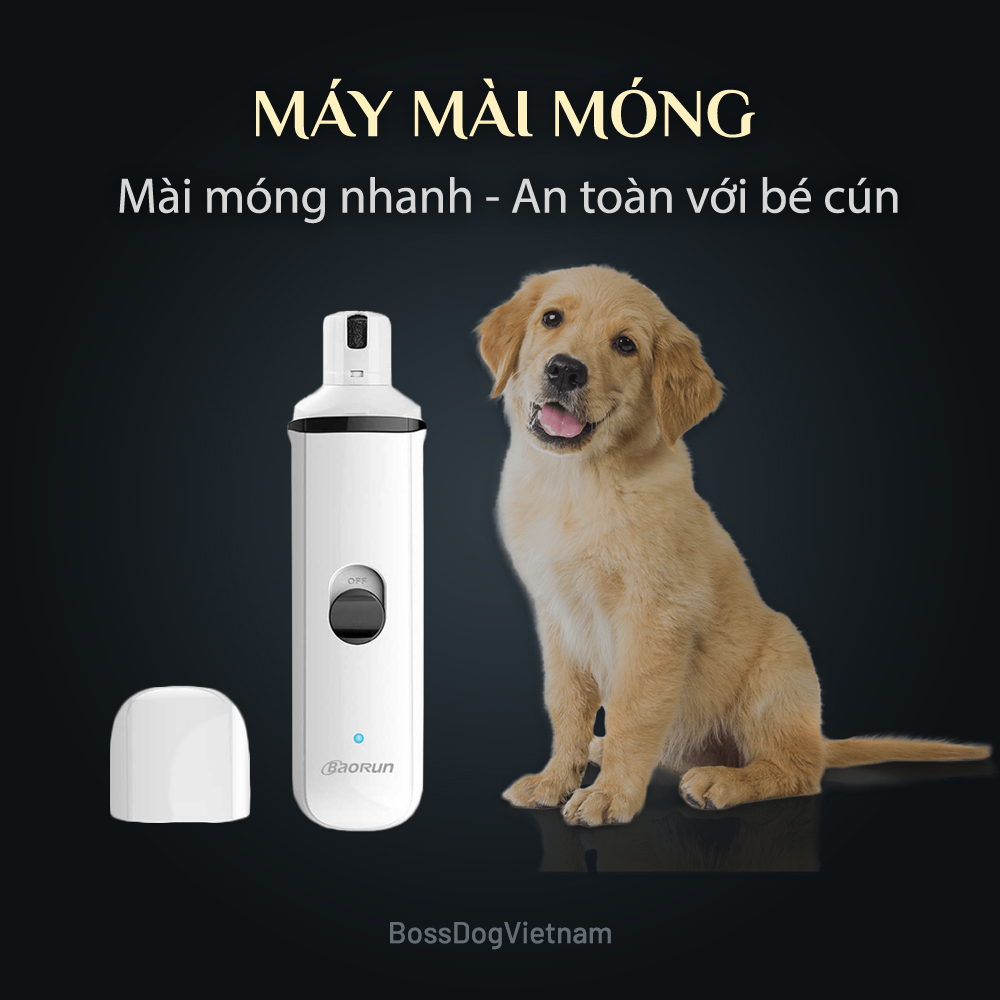 Máy mài móng cho chó mèo | Mài nhanh và an toàn | BossDog