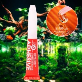 Keo dán cây thủy sinh, chuyên dán rêu, ráy, lũa, đá