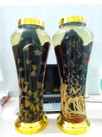 Bìm bịp ngâm rượu bình 7L, (cam kết nguyên cốt)