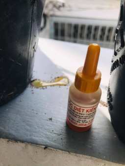 THUỐC DIỆT KIẾN GIÁN Sinh Học Diệt Kiến Gián Tận Gốc Chai 10ml Xuất xứ Việt Nam, diệt kiến, thuốc diệt kiến sinh học, diệt gián