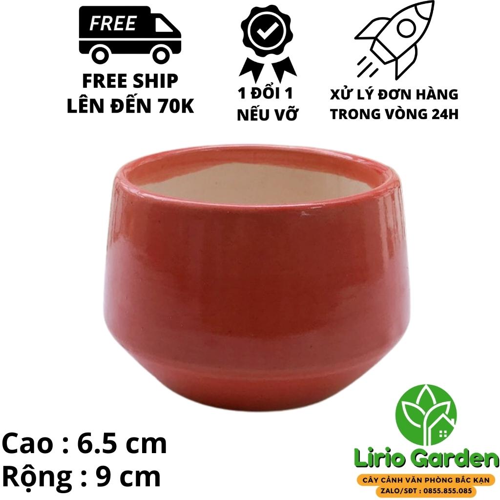 Chậu cây hình hạt dẻ nhỏ