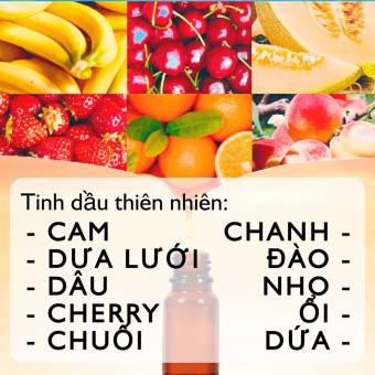 Tổng Hợp Tinh Dầu Nguyên Chất Hương Trái Cây THERAPY