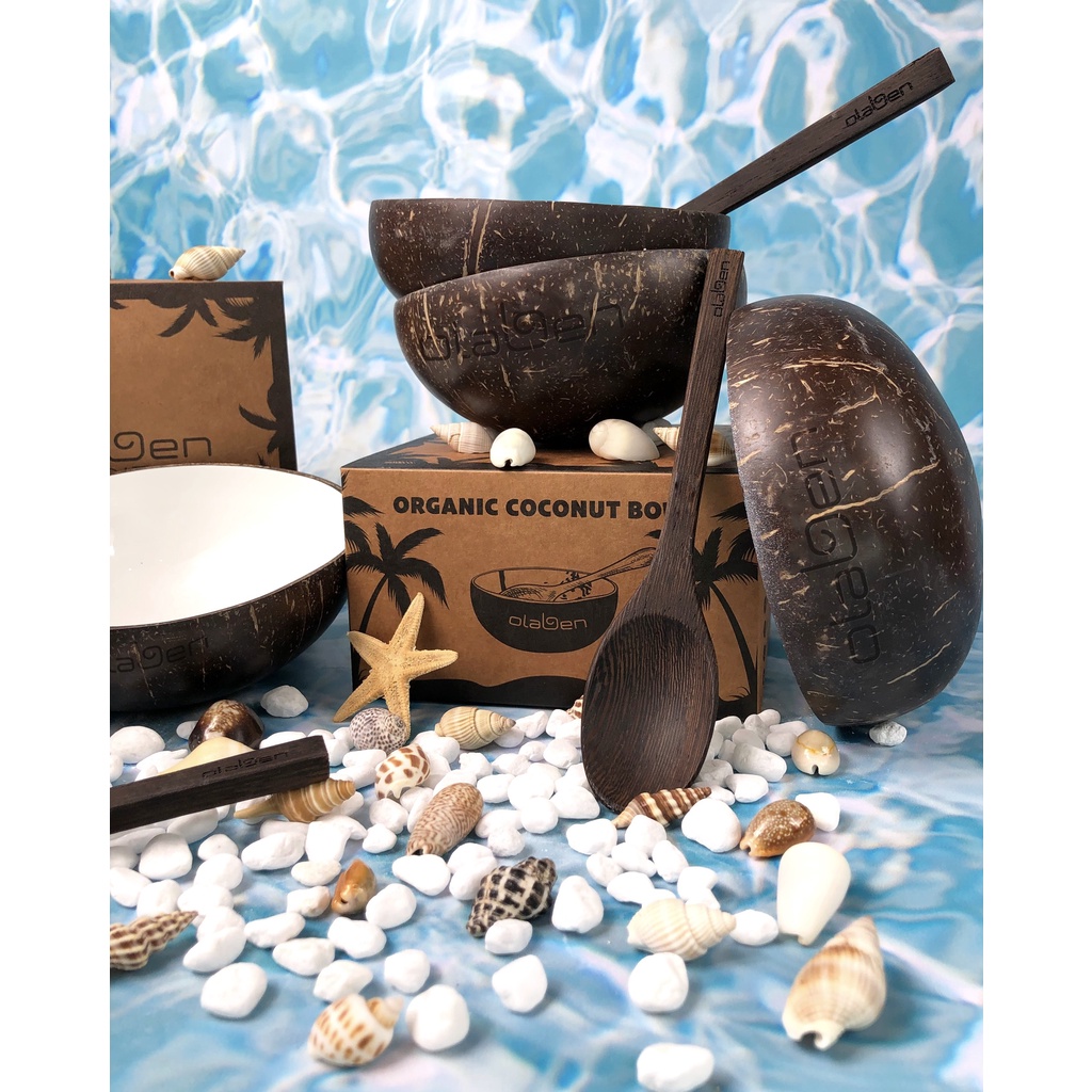 Olaben Nutrition combo Chén Gáo Dừa + Muỗng Gỗ Dừa Handcarved Coco