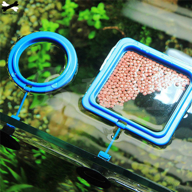 floating fish feeder ring