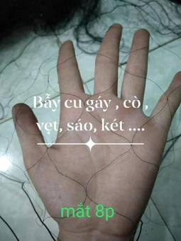 30m lưới tàng hình bẫy chim cu, cò,sáo,két