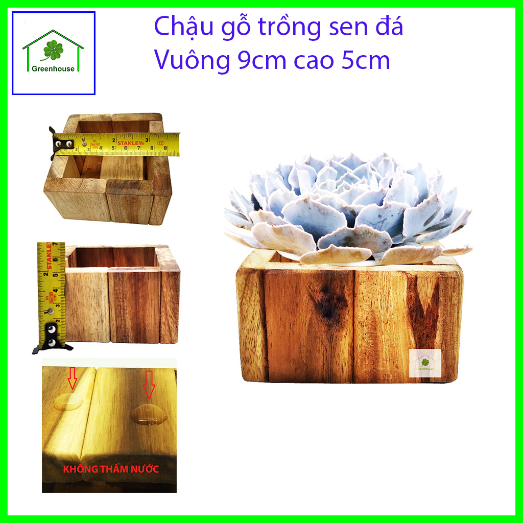Chậu gỗ trồng sen đá, xương rồng, cây cảnh , đồ handmade  phong cách vintage decore trang trí phòng khách, bàn làm việc, không gian xanh 9x9x5cm Greenhouse - Ngôi Nhà Xanh