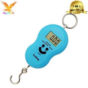 CÂN ĐIỆN TỬ CẦM TAY 40kg MINI CẦM TAY