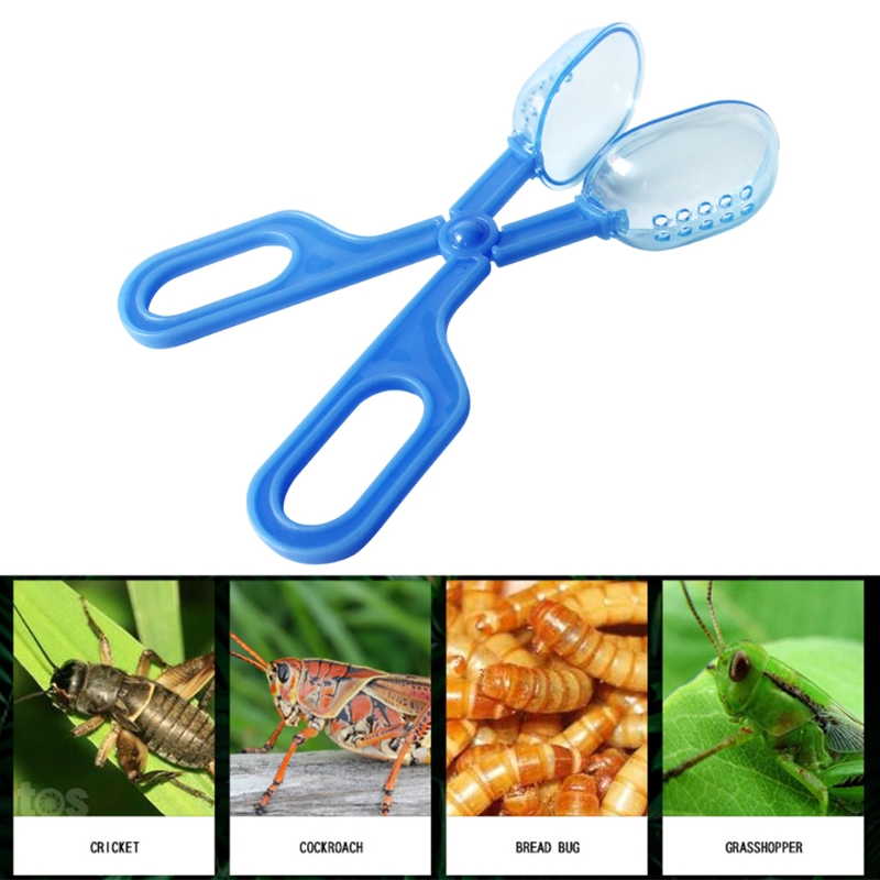 Dụng cụ làm sạch và kẹp cho bò sát, kẹp bắt côn trùng bọ thằn lằn dụng cụ làm sạch phân, cho rùa ếch nhện