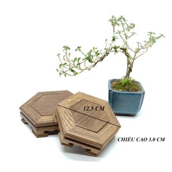Đế Gỗ, Đôn Gỗ Vuông Bằng Gỗ Tự Nhiên Dùng Kê Chậu Bonsai, Lư Hương Xông Trầm, Tượng Gốm