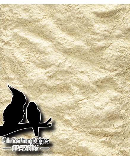 200Gr Bột NutriBird A21 giàu dinh dưỡng cho vẹt non - XUẤT XỨ: BỈ_date mới.